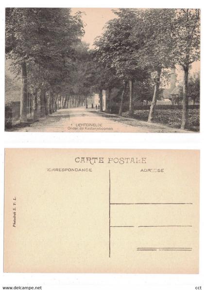 Lichtervelde   Onder de Kastanjebomen  Photodruk S.Y.L. n° 1