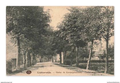 Lichtervelde, sous les châtaigniers, Ceïlscampsstraat, Belgique