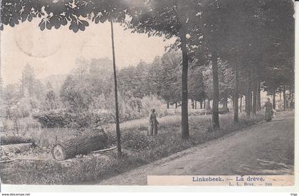 Linkebeek - la Drève