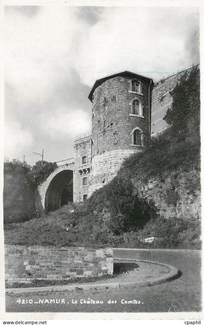 CPM Namur La Chateau
