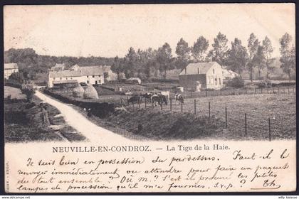 +++ CPA - NEUVILLE EN CONDROZ - La Tige de la Haie - 1904  //