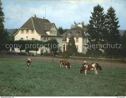 Amel Belgien Missionshaus St Raphael Kuehe