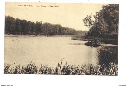 Oud-Heverlee - Eaux-Douces - Les étangs.