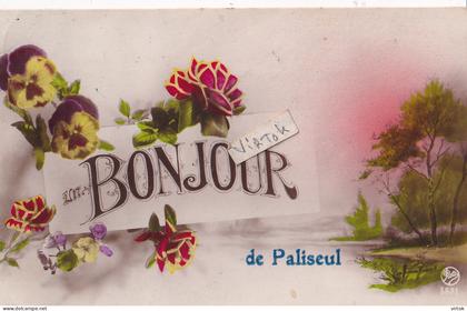 Paliseul :  bonjour  (  avec timbre )