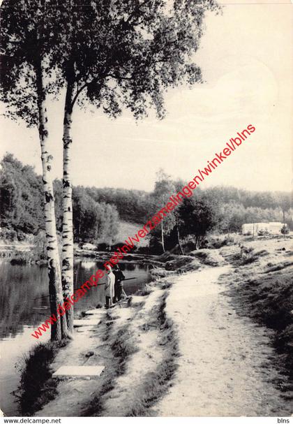 Visvijver - Louise Marie - Ronse