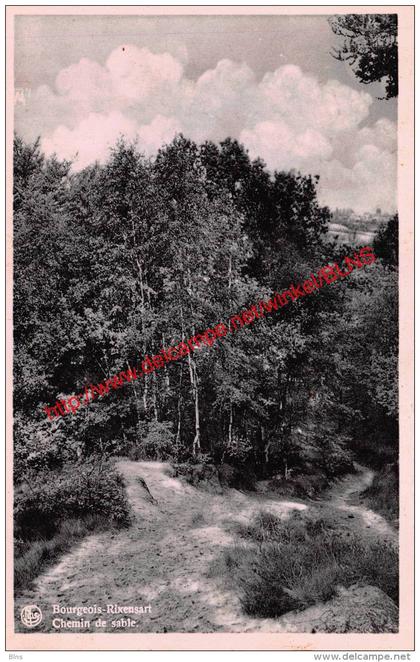 Chemin de sable - Bourgeois - Rixensart