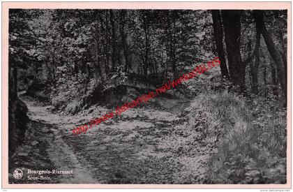 Sous-Bois - Bourgeois - Rixensart