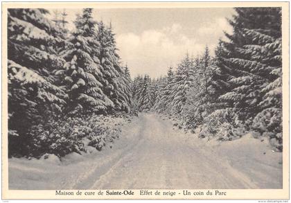 CPM - Maison de cure de SAINTE-ODE - Effet de neige - Un coin du Parc