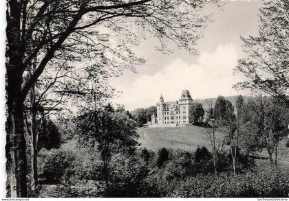 [-10%] BELGIQUE - Somme Leuze - Domaine de Septon - Château de Petite Somme - Carte Postale