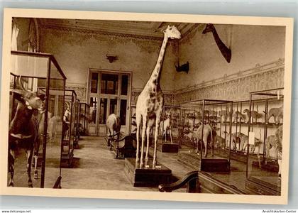 38218520 - Tervuren Tervueren