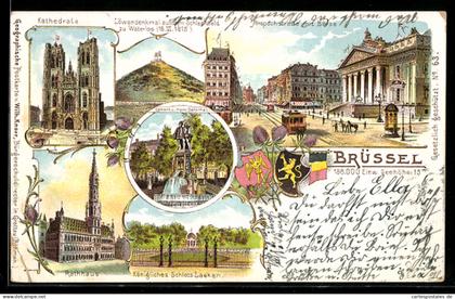 Lithographie Brüssel, Kathedrale, Rathaus, Königliches Schloss Laeken, Strassenbahn