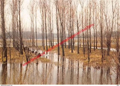 Sombeekse meersen - potpolder - Waasmunster