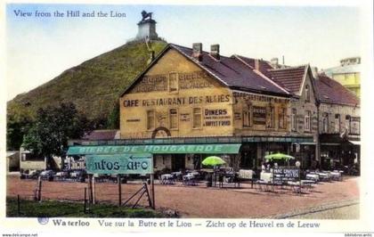 BELGIQUE - WATERLOO / VUEANIMEE SUR LA BUTTE ET LE LION et CAFE RESTAURANT DES ALLIES
