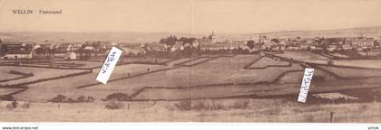 Wellin - Panorama (Double carte).   ecrit 1930