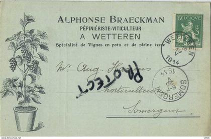 Wetteren : Alphonse Brarckman : Pepiniériste-viticulture : 1914    -  2 scans