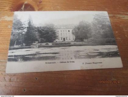 Willebroek, Chateau du kraag