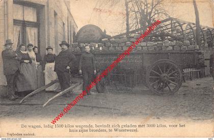 Wuestwezel - den herkuul - Wuustwezel