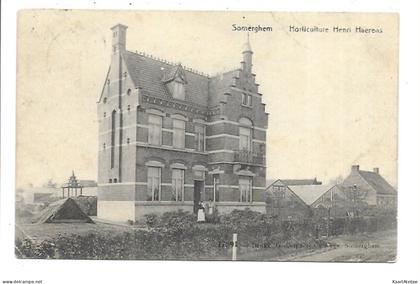 Zomergem - Horticulture Henri Haerens.