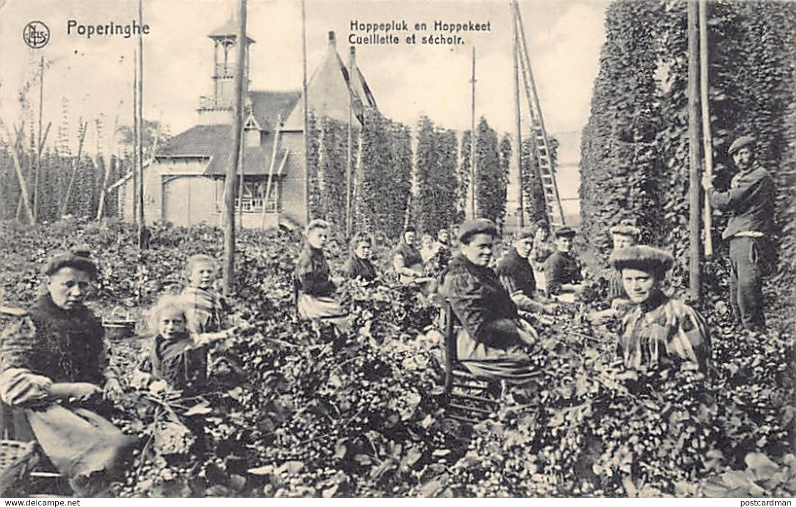 België - POPERINGE (W. Vl.) Hoppepkuk en Hoppekeet