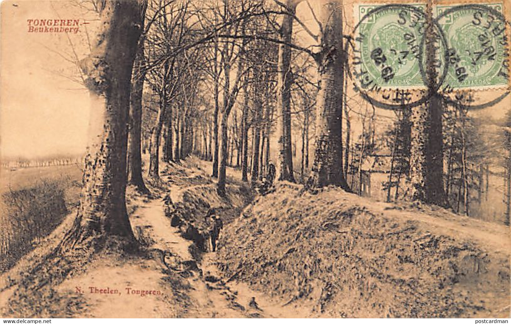 België - TONGEREN (Limb.) Beukenberg