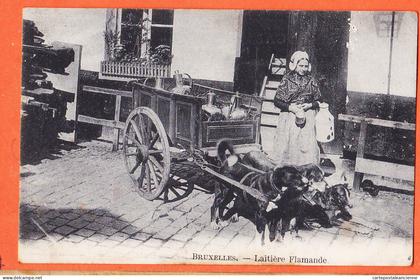 40034 ◉ Petits Métiers BRUXELLES Belgique ◉ Laitière Flamande Attelage Chiens 1900s ◉ Ambachten BRUSSEL België ◉