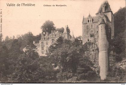 P-25-T-JUM : 8691 :  VALLEE DE L'AMBLEVE. CHATEAU DE MONTJARDIN