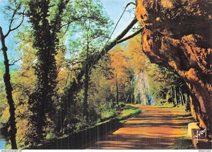 BELGIQUE SOMME LEUZE SOMMELLE