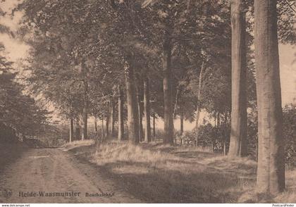 Lusthof Lekkerbek Hotel Pension Waasmunster Belgium Postcard
