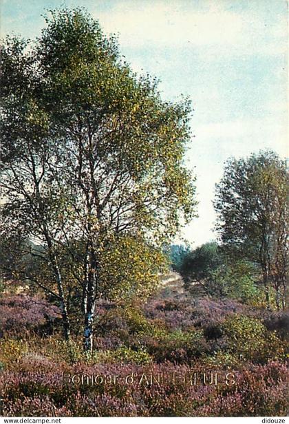 Carte Postale - Belgique - Anderlues - Bonjour d'Anderlues - Carte Neuve - CPM - Voir Scans Recto-Verso - Poscard - Cart