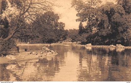 ANTWERPEN - Dierentuin - Groote Vijver
