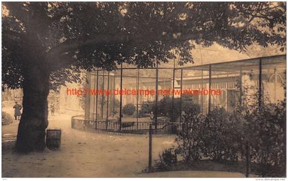 Pauwenvlucht Zoo Antwerpen