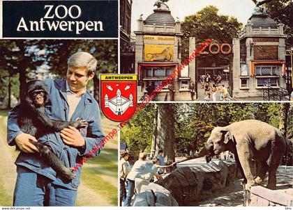 Zoo Antwerpen - dierentuin - Antwerpen