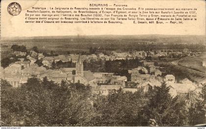 CPA Beauraing Panorama