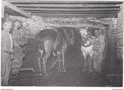 Blegny-Mine - Le travail du fond - repro - & mining, horse