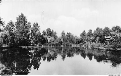 BELGIQUE - Boortmeerbeek - Vijver Oasis - étang - forêt - oblit 1962 - Carte Postale Ancienne