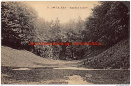 Bois de la Cambre - Brussel Bruxelles
