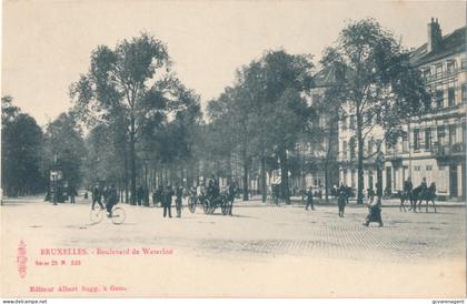 BRUXELLES.   JARDIN BOTANIQUE   A.SUGG 25 / 54