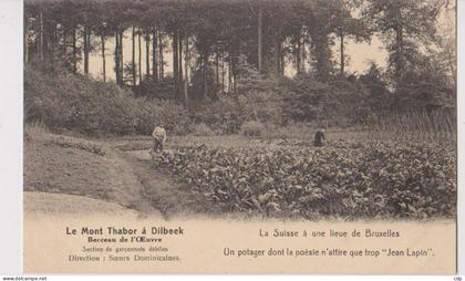 cpa dilbeek   jardin