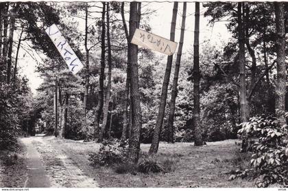 Essen :  natuurschoon  (  met zegel )