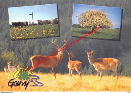 Parc Naturel des Deux Ourthes - Gouvy