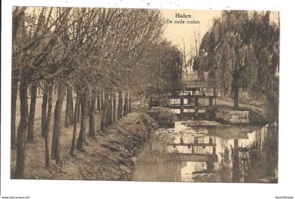 Halen - De oude molen.