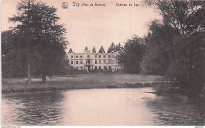 Hamois - SCY - chateau de Scy