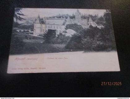 Hasselt, Chateau du vieux Jonc