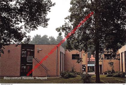 Bloso-centrum Netepark - Herentals