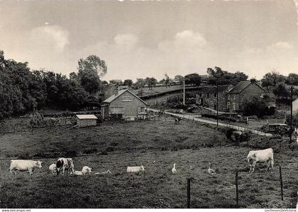 [-10%] BELGIQUE - Héron - Le fond de Boingt - Cercle Saint Martin - Carte postale