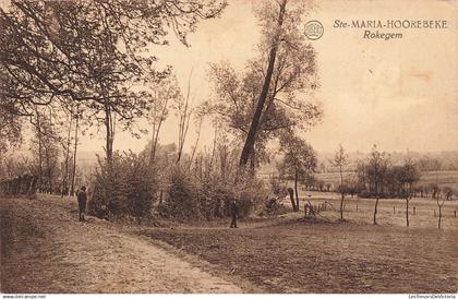 BELGIQUE - Ste Maria Hoorebeke  - Rokegem - paysage rural - champ - Clôture - animé - Carte Postale ancienne