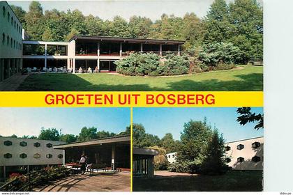 Carte Postale - Belgique - Houthalen-Helchteren - Bosberg - Multivues - CPM - Voir Scans Recto-Verso - Poscard - Carta P