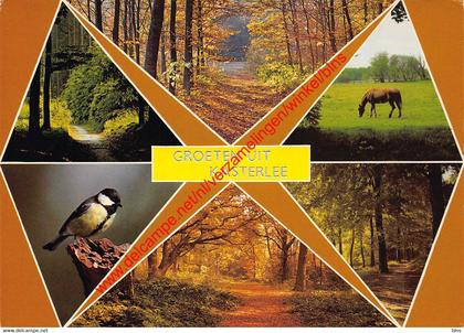 Groeten uit … - Kasterlee