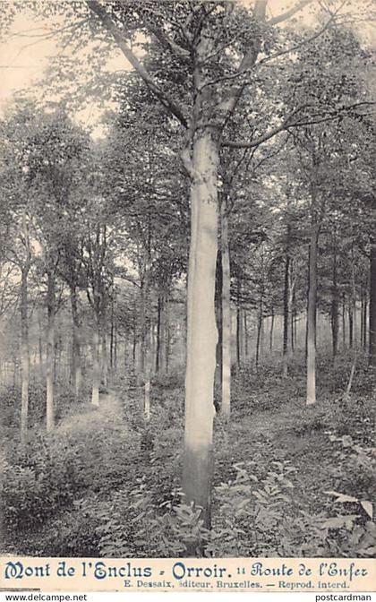 Belgique - MONT DE L'ENCLUS - ORROIR (Hainaut) Route de l'Enfer - Ed. E. dessaix