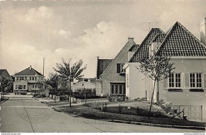 [-5%] BELGIQUE - Crainhem - Avenue des Hortensias - Kraainem - Hortensiaslaan - Carte Postale Ancienne